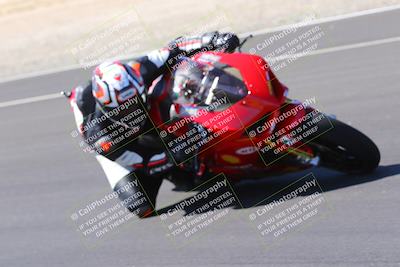 media/Oct-08-2022-SoCal Trackdays (Sat) [[1fc3beec89]]/Turn 16 Inside (1130am)/